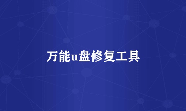 万能u盘修复工具