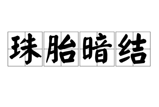 珠胎暗结