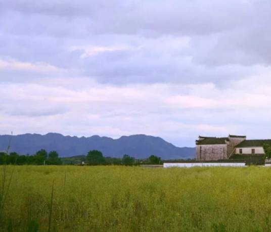 碧山