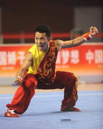 南拳(中国传统武术拳法)