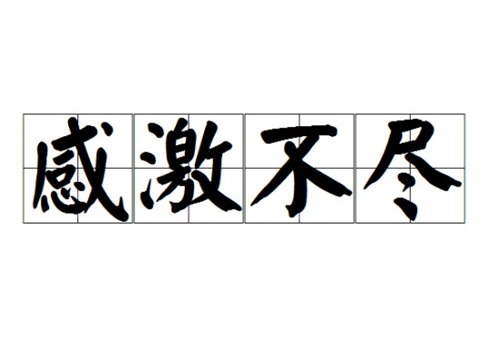 感激不尽（汉语词汇）