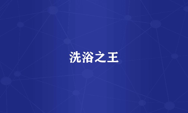 洗浴之王