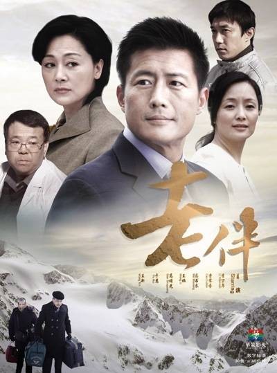 老伴(2008年孙皓执导电视剧)