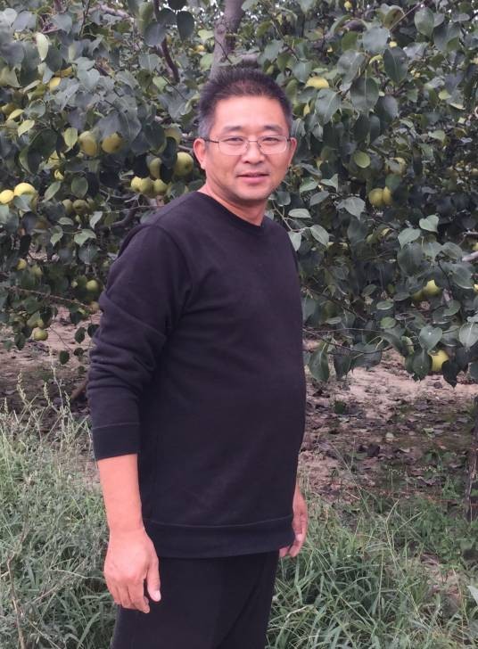 王向阳（画家）
