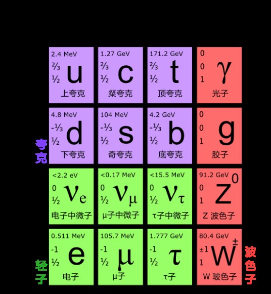 费米子（自旋为半整数的粒子）