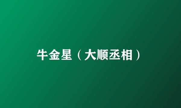 牛金星(大顺丞相)