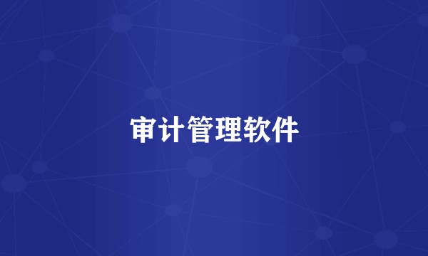 审计管理软件