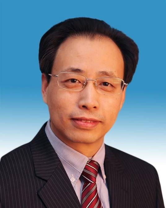 王树新（中国工程院院士，重庆大学校长、党委副书记）