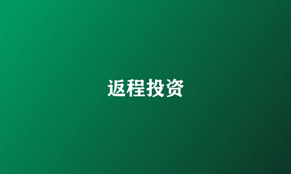 返程投资