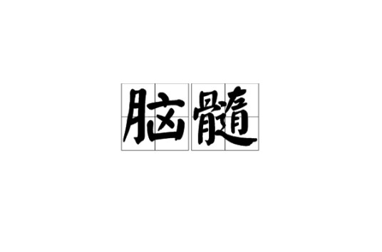脑髓
