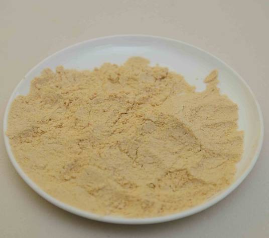 大豆蛋白