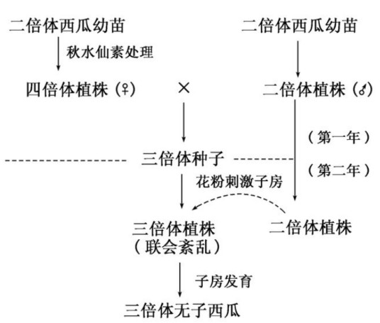 染色体变异说