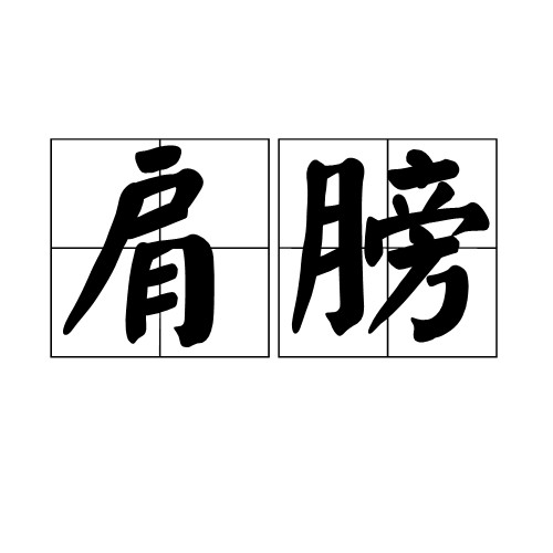 肩膀(身体部位)