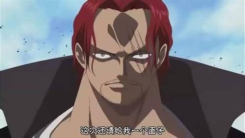 面子果实
