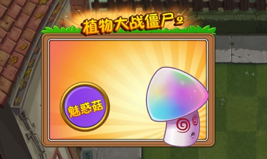 魅惑菇