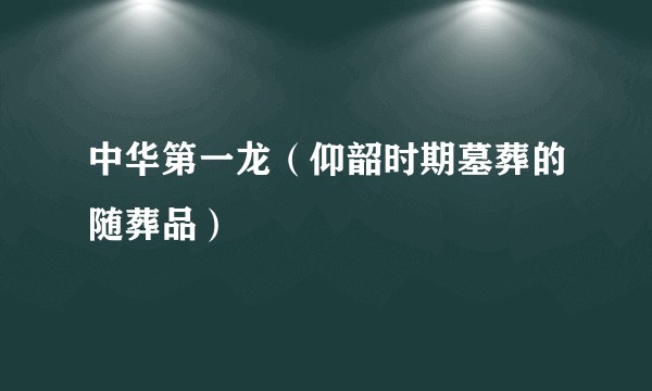 中华第一龙（仰韶时期墓葬的随葬品）