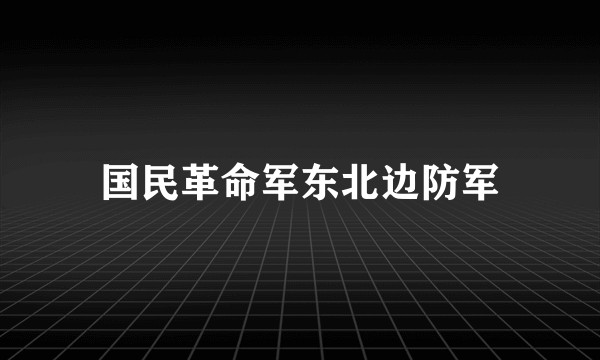 国民革命军东北边防军