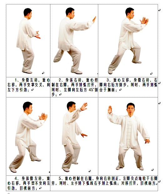 白鹤亮翅（太极招式）