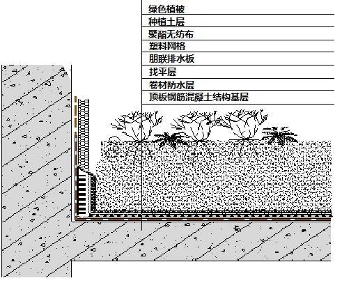 排水板