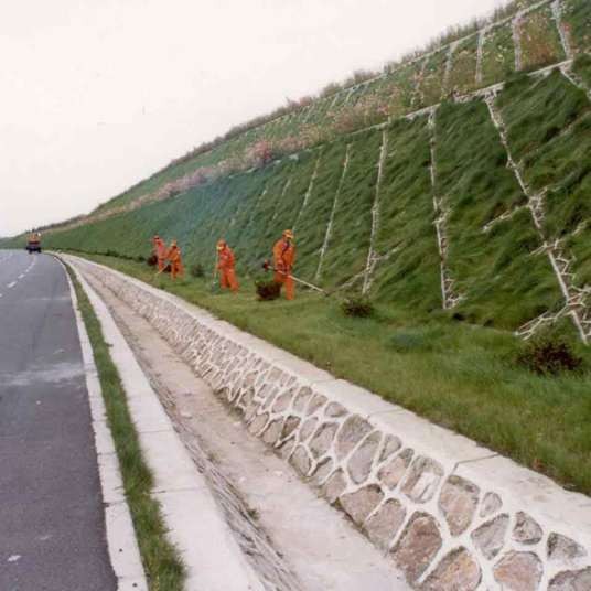 边坡绿化