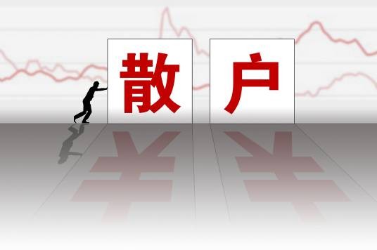 散户（股市用语）