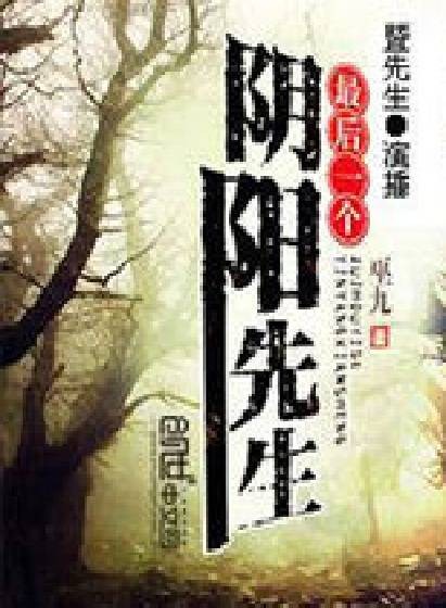 最后一个阴阳先生（巫九创作的灵异网络小说）