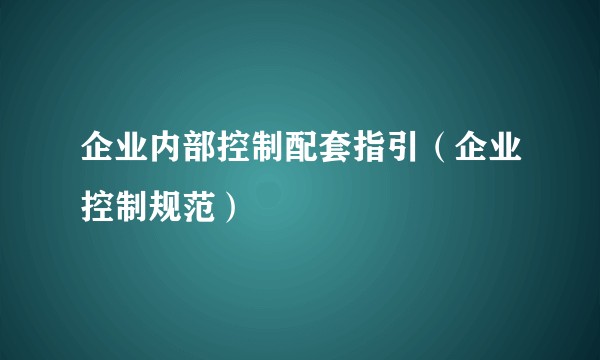 企业内部控制配套指引(企业控制规范)