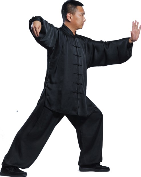 杨氏太极拳(中国传统武术拳法)