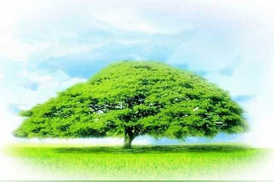 榕树下文学网