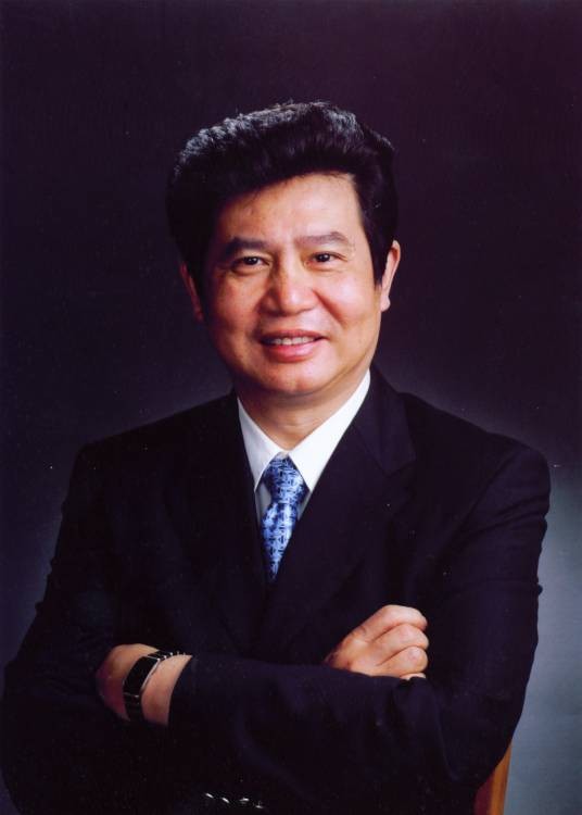 张桂平（苏宁环球集团董事长）