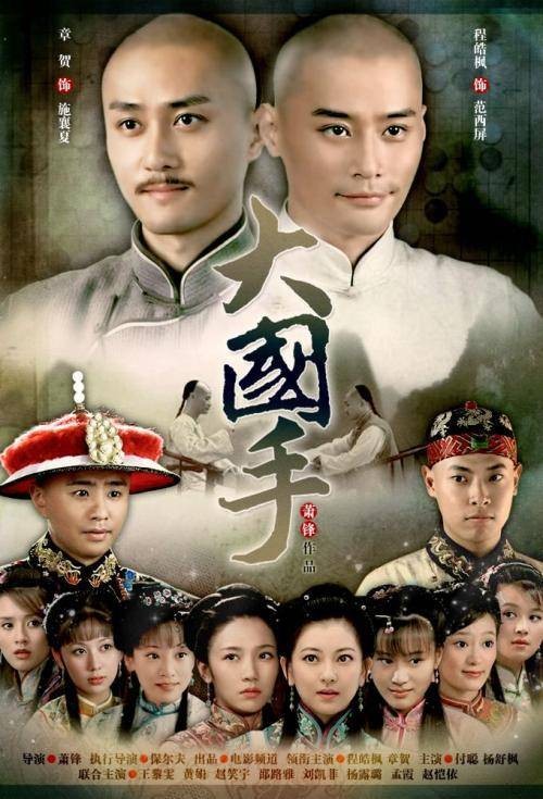 大国手（2009年萧峰执导的系列电影）