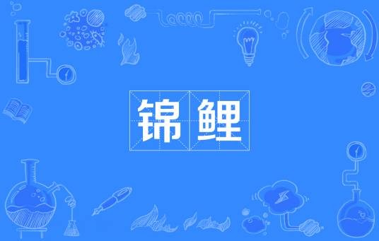 锦鲤（网络流行语）