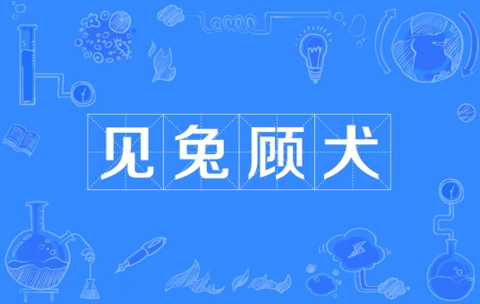 见兔顾犬