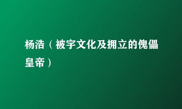 杨浩(被宇文化及拥立的傀儡皇帝)