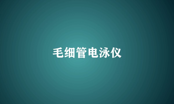 毛细管电泳仪