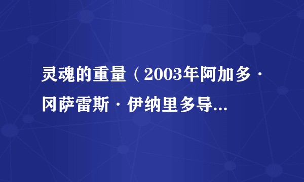 灵魂的重量（2003年阿加多·冈萨雷斯·伊纳里多导演的电影）
