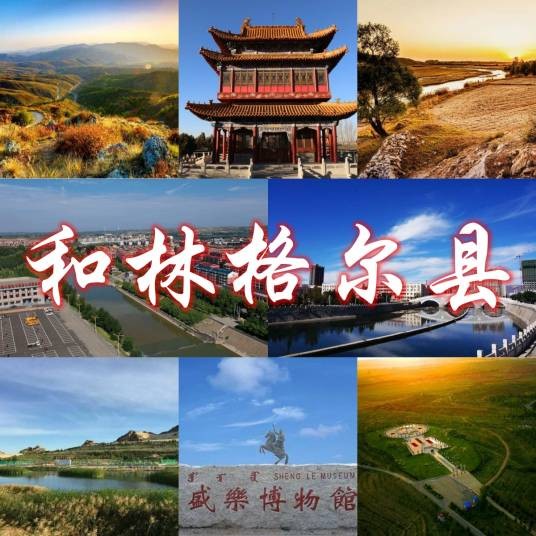 和林格尔县