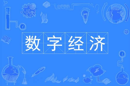 数字经济（中国普通高等学校本科专业）