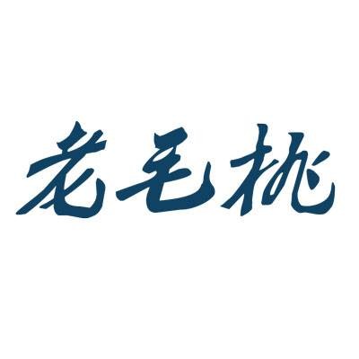 老毛桃u盘启动盘制作工具