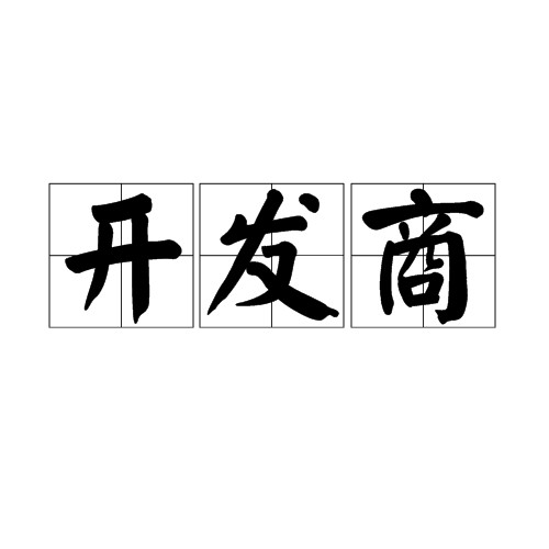 开发商（某个项目的第一承担人）