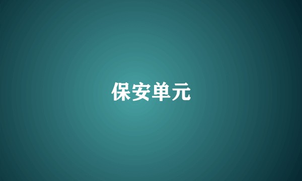保安单元