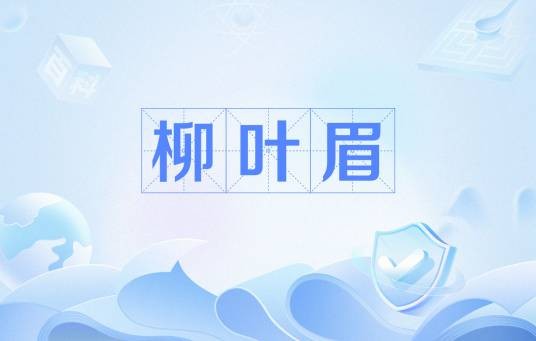 柳叶眉(眉型)