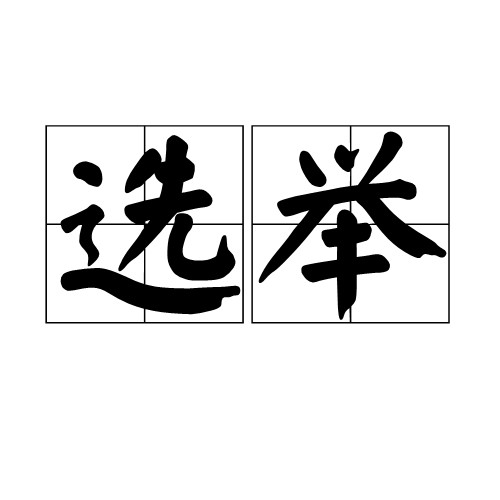 选举（推举代表或者主要负责人的活动）