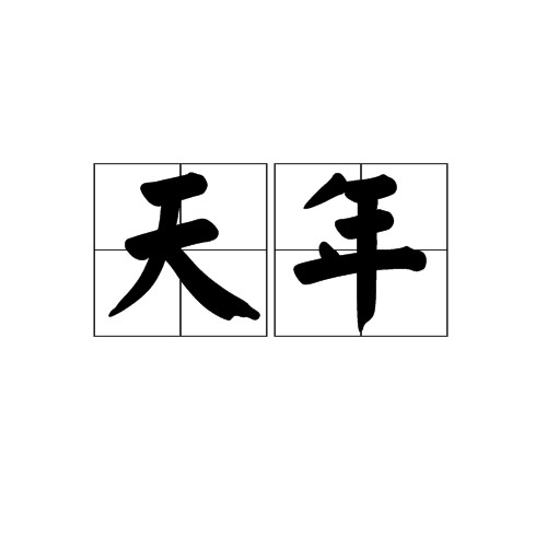 天年（汉语词汇）