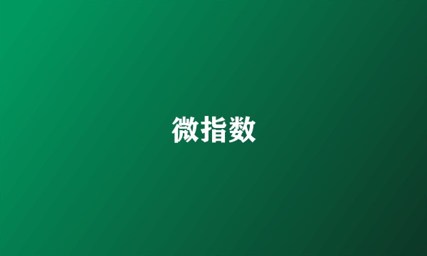 微指数