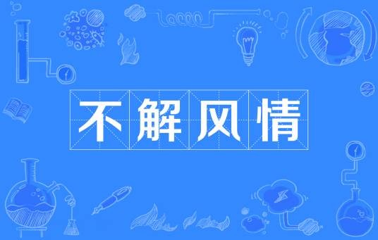不解风情（词语）
