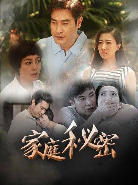家庭秘密（2015年柳国庆执导电视剧）