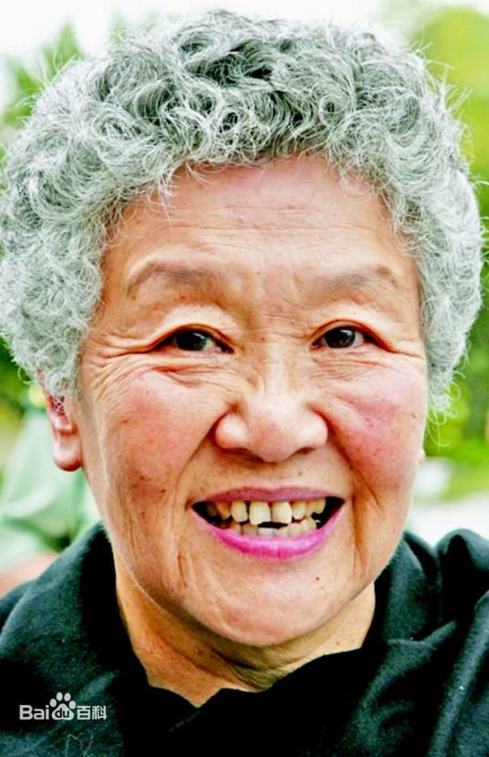 吴青（北京外国语大学教授）