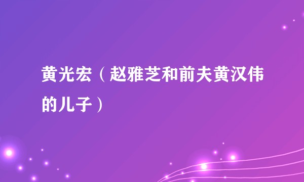 黄光宏（赵雅芝和前夫黄汉伟的儿子）
