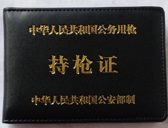 持枪证